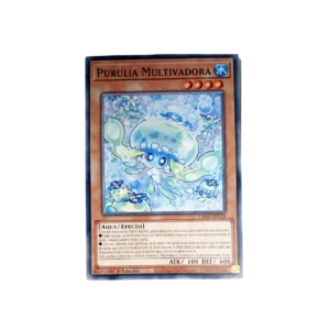 Mulcharmy Purulia Español